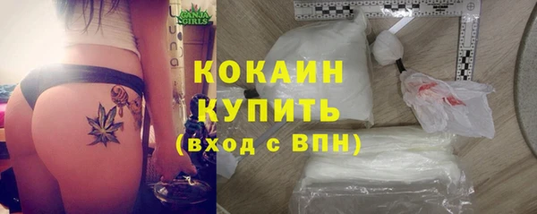ГАЛЛЮЦИНОГЕННЫЕ ГРИБЫ Горняк
