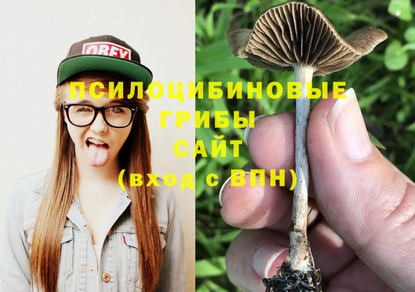 ГАЛЛЮЦИНОГЕННЫЕ ГРИБЫ Горняк