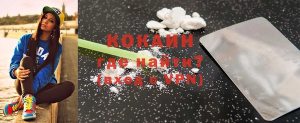 ГАЛЛЮЦИНОГЕННЫЕ ГРИБЫ Горняк