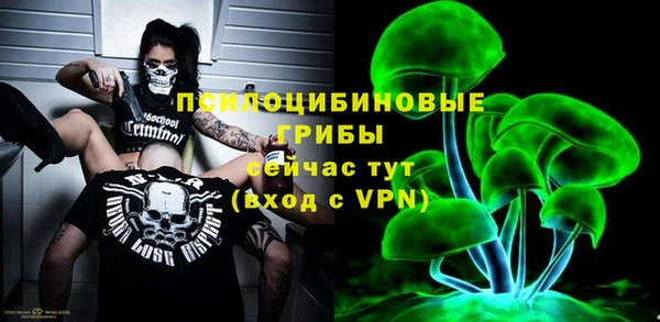 ГАЛЛЮЦИНОГЕННЫЕ ГРИБЫ Горняк