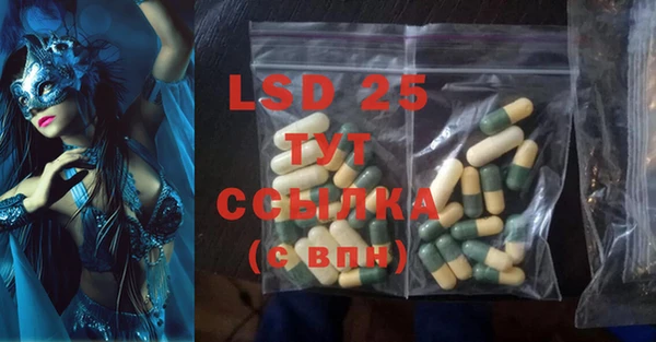 ГАЛЛЮЦИНОГЕННЫЕ ГРИБЫ Горняк