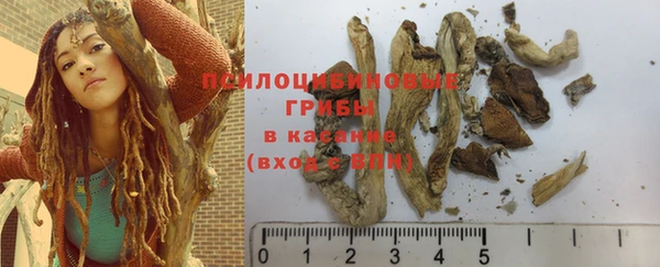 ГАЛЛЮЦИНОГЕННЫЕ ГРИБЫ Горняк