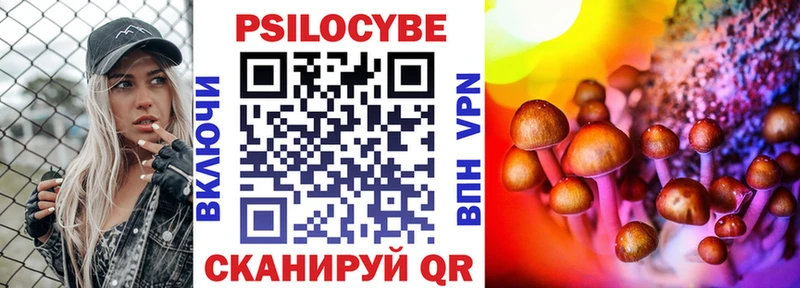 ссылка на мегу ссылка  Томмот  Псилоцибиновые грибы Psilocybe 
